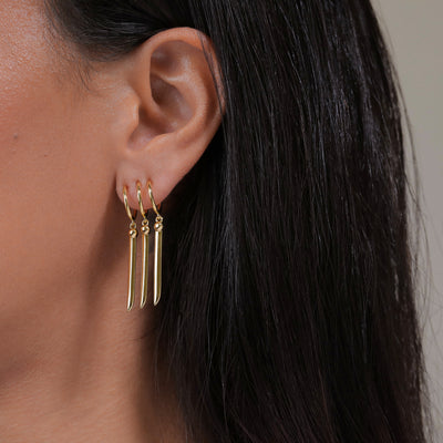 Zoro's Earring