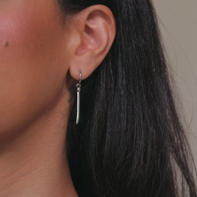 Zoro's Earring
