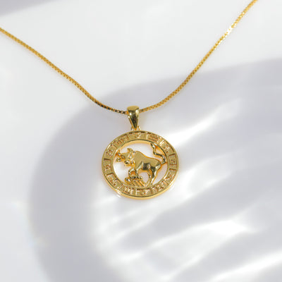 Zodiac Coin Necklace