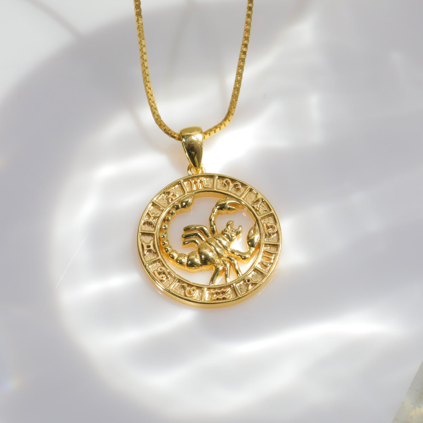 Zodiac Coin Necklace