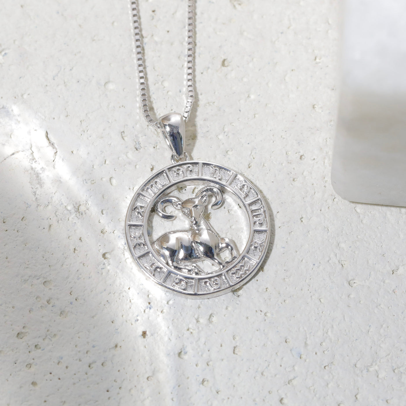 Zodiac Coin Necklace